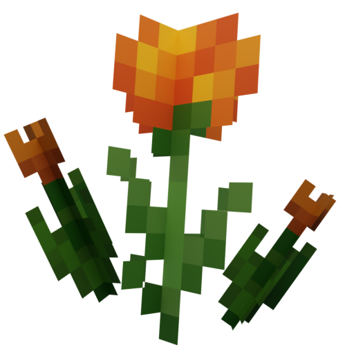 marigold-tulips