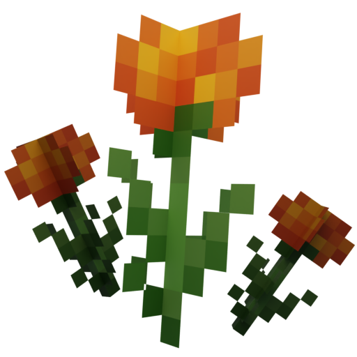marigolds